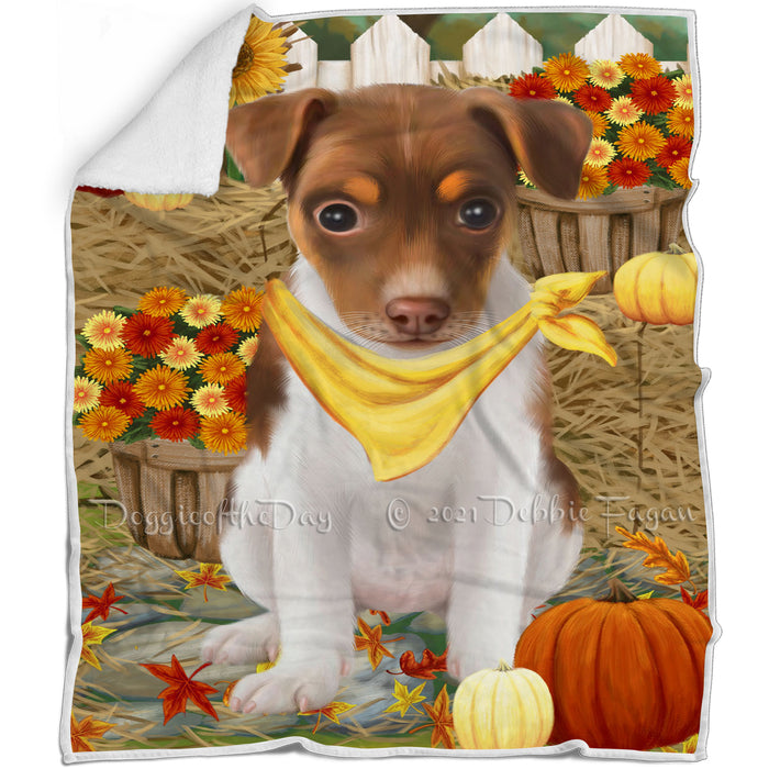 Fall Autumn Greeting Rat Terrier Dog with Pumpkins Blanket BLNKT73650