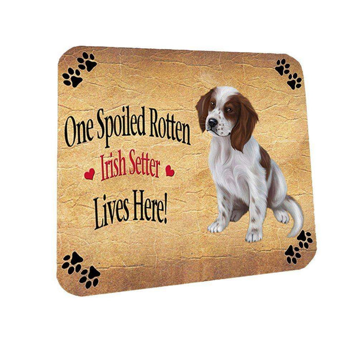 Red And White Irish Setter Puppy Spoiled Rotten Dog Coasters Set of 4