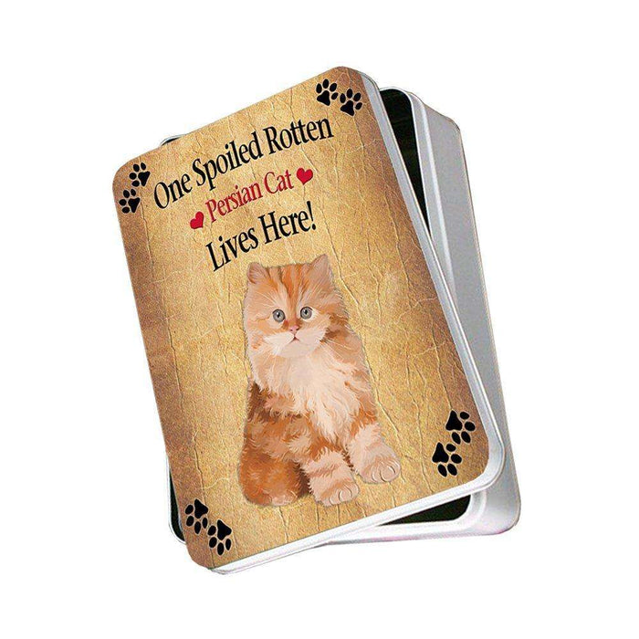 Red Persian Kitten Spoiled Rotten Cat Photo Storage Tin