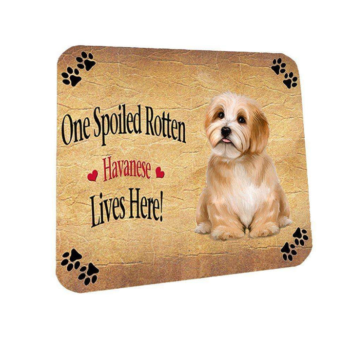 Reddish Havanese Spoiled Rotten Dog Coasters Set of 4
