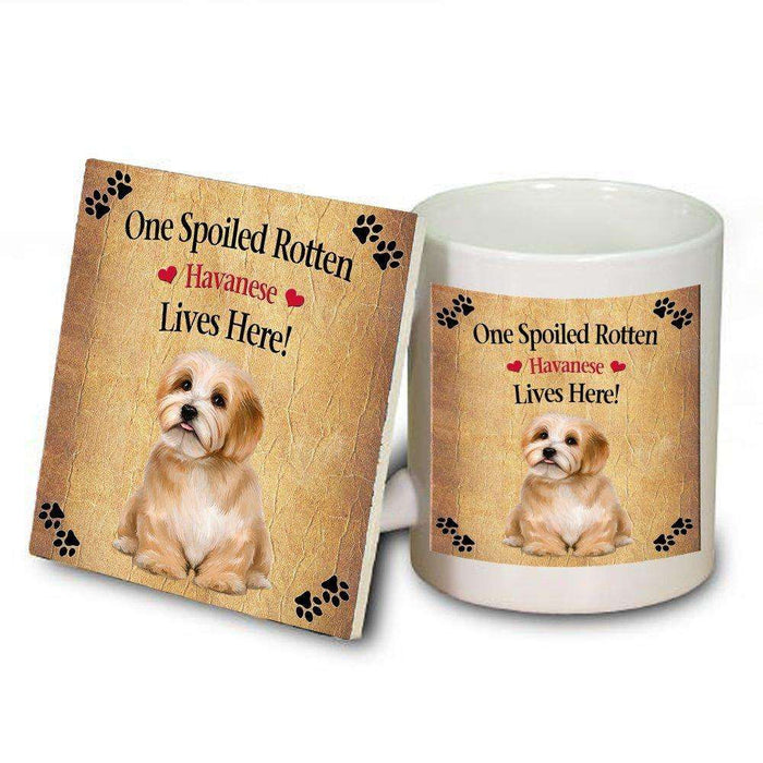 Reddish Havanese Spoiled Rotten Dog Mug and Coaster Set