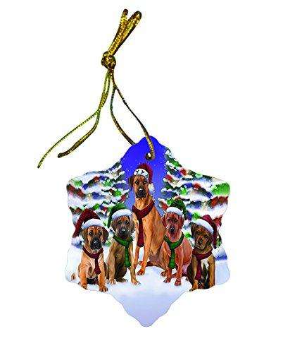 Rhodesian Ridgeback Dog Christmas Snowflake Ceramic Ornament
