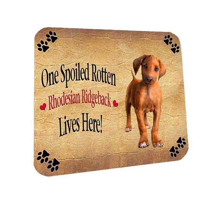 Rhodesian Ridgeback Puppy Spoiled Rotten Dog Coasters Set of 4