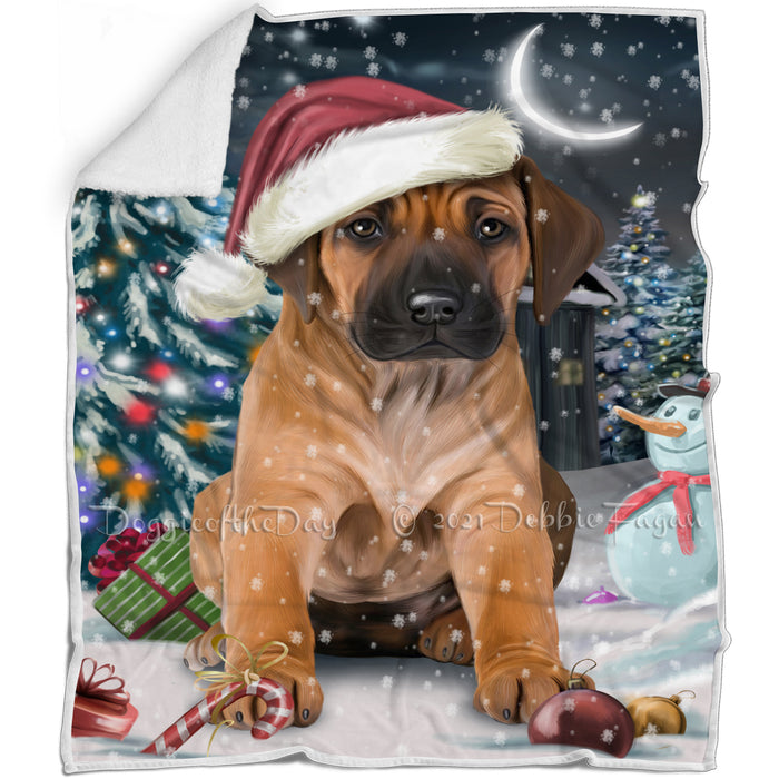 Have a Holly Jolly Christmas Rhodesian Ridgeback Dog in Holiday Background Blanket D116