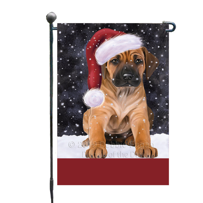 Personalized Let It Snow Happy Holidays Rhodesian Ridgeback Dog Custom Garden Flags GFLG-DOTD-A62424