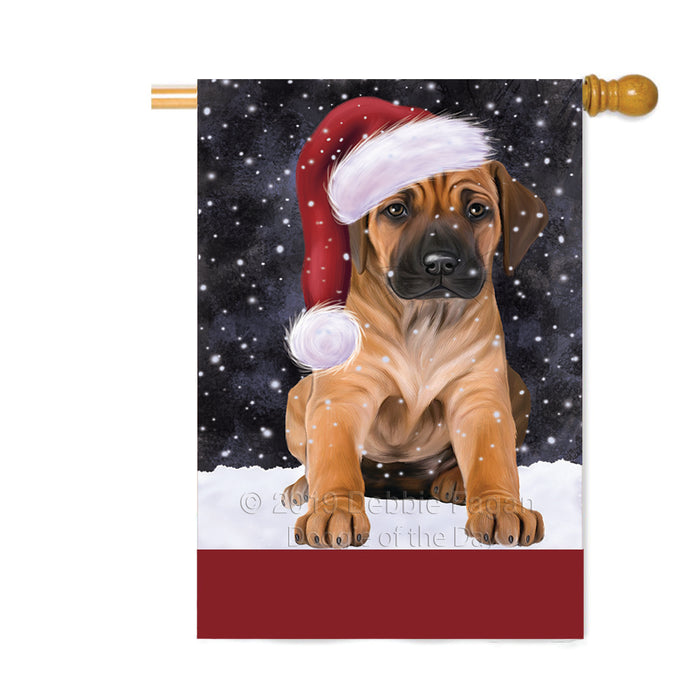Personalized Let It Snow Happy Holidays Rhodesian Ridgeback Dog Custom House Flag FLG-DOTD-A62480