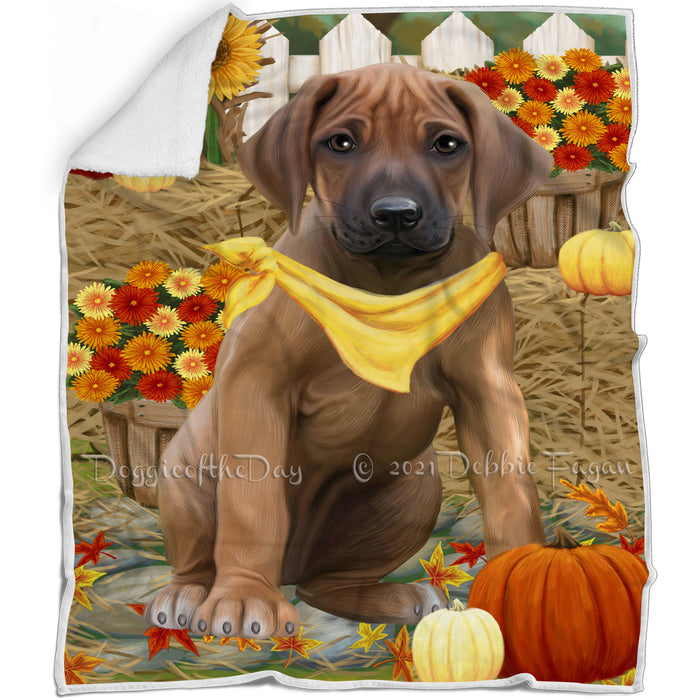 Fall Autumn Greeting Rhodesian Ridgeback Dog with Pumpkins Blanket BLNKT73668