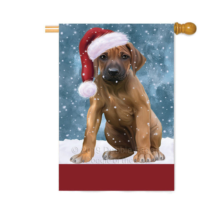 Personalized Let It Snow Happy Holidays Rhodesian Ridgeback Dog Custom House Flag FLG-DOTD-A62481