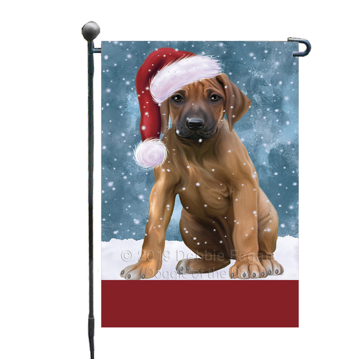Personalized Let It Snow Happy Holidays Rhodesian Ridgeback Dog Custom Garden Flags GFLG-DOTD-A62425