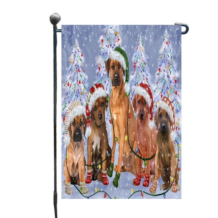 Christmas Lights and Rhodesian Ridgeback Dogs Garden Flags- Outdoor Double Sided Garden Yard Porch Lawn Spring Decorative Vertical Home Flags 12 1/2"w x 18"h