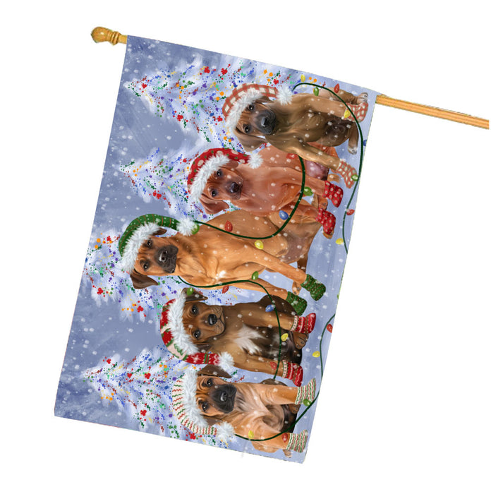 Christmas Lights and Rhodesian Ridgeback Dogs House Flag Outdoor Decorative Double Sided Pet Portrait Weather Resistant Premium Quality Animal Printed Home Decorative Flags 100% Polyester