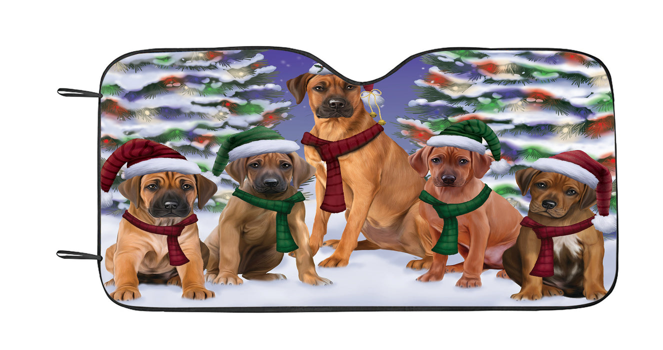 Rhodesian Ridgeback Dogs Christmas Family Portrait in Holiday Scenic Background Car Sun Shade