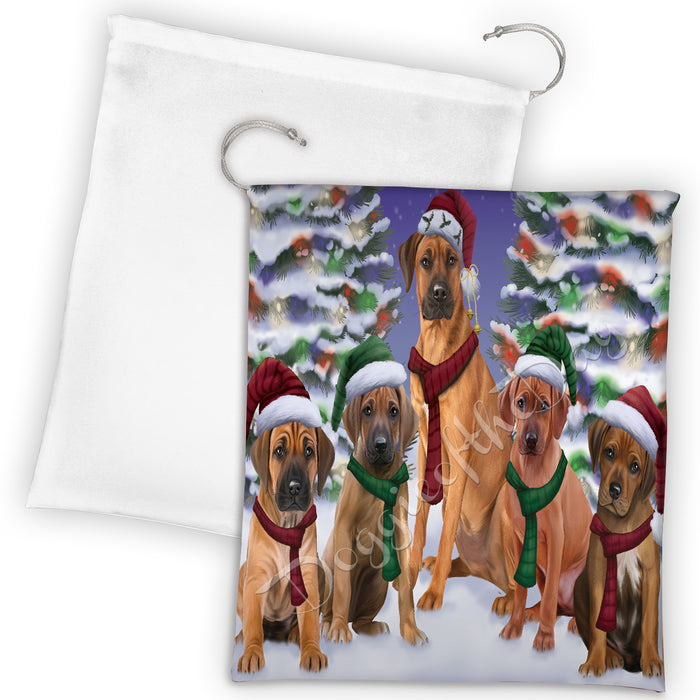 Rhodesian Ridgeback Dogs Christmas Family Portrait in Holiday Scenic Background Drawstring Laundry or Gift Bag LGB48167