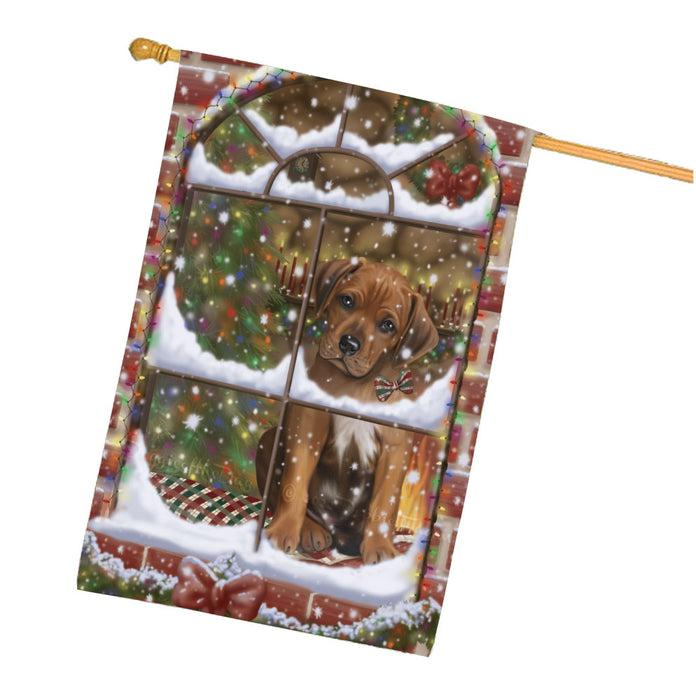 Please come Home for Christmas Rhodesian Ridgeback Dog House Flag Outdoor Decorative Double Sided Pet Portrait Weather Resistant Premium Quality Animal Printed Home Decorative Flags 100% Polyester FLG68015