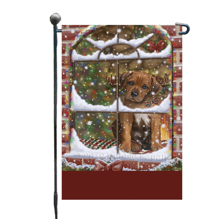 Personalized Please Come Home For Christmas Rhodesian Ridgeback Dog Sitting In Window Custom Garden Flags GFLG-DOTD-A60195
