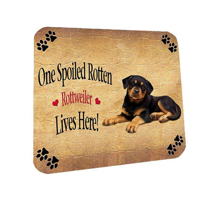 Rottweiler Puppy Spoiled Rotten Dog Coasters Set of 4