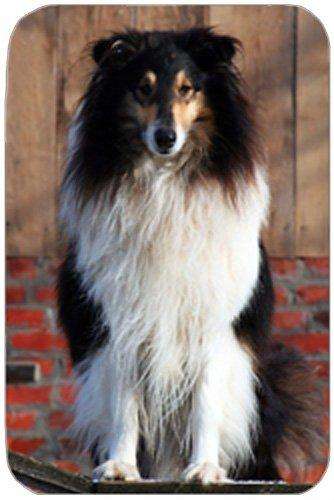 Rough Collie Dog Large Cutting Board