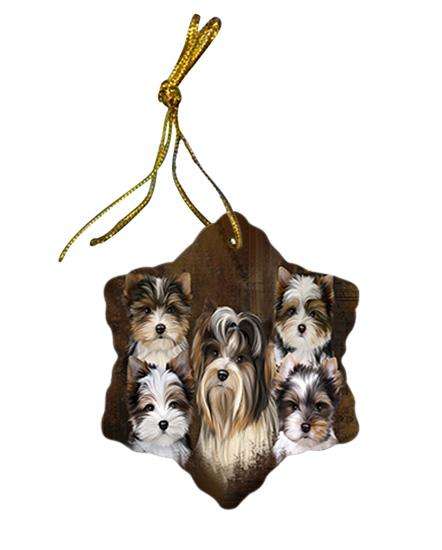 Rustic 5 Biewer Terrier Dog Star Porcelain Ornament SPOR54118