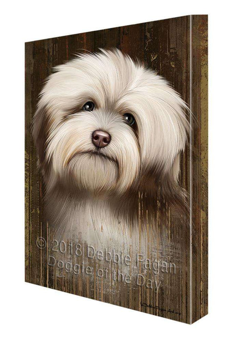 Rustic Havanese Dog Canvas Print Wall Art Décor CVS70028