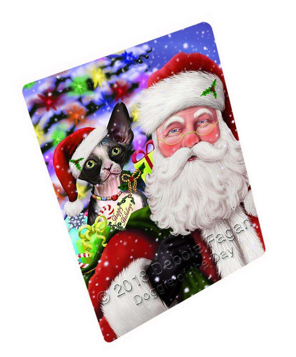 Santa Carrying Sphynx Cat and Christmas Presents Blanket BLNKT100677