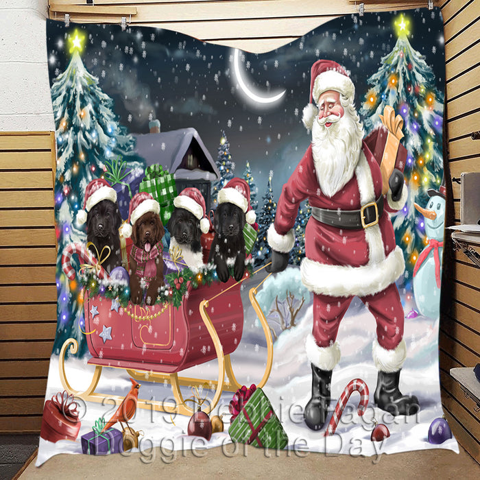 Santa Sled Dogs Christmas Happy Holidays Newfoundland Dogs Quilt