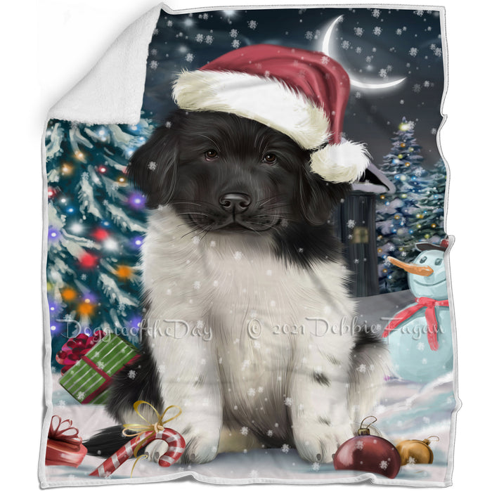 Have a Holly Jolly Christmas Happy Holidays Newfoundland Dog Blanket BLNKT105528