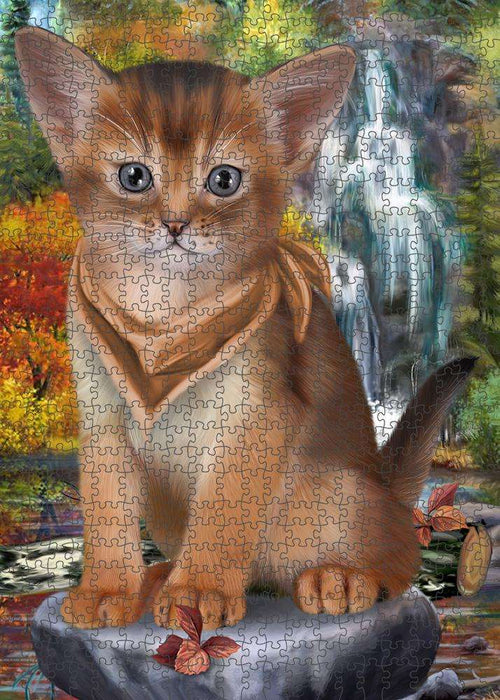 Scenic Waterfall Abyssinian Cat Puzzle with Photo Tin PUZL86316