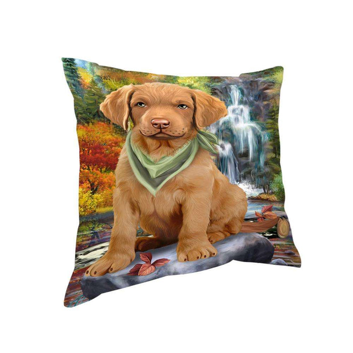 Scenic Waterfall Chesapeake Bay Retriever Dog Pillow PIL54788