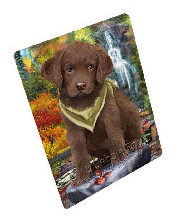 Scenic Waterfall Chesapeake Bay Retriever Dog Tempered Cutting Board C53061