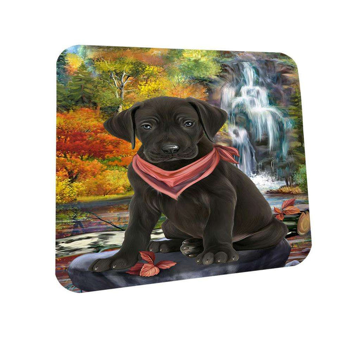 Scenic Waterfall Great Dane Dog Coasters Set of 4 CST50127