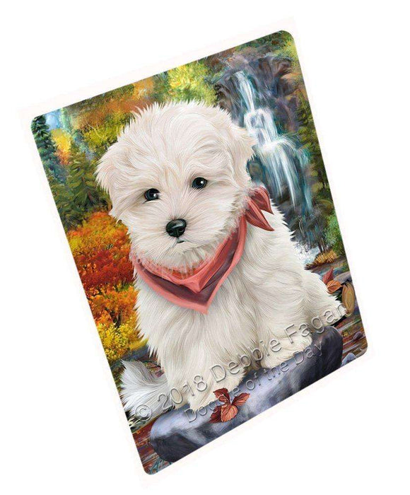 Scenic Waterfall Maltese Dog Magnet Mini (3.5" x 2") mag52230
