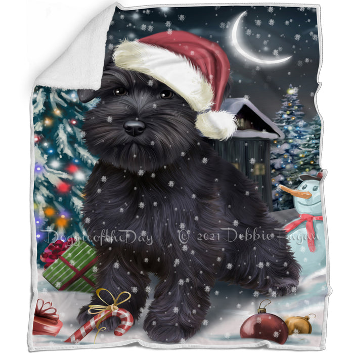 Have a Holly Jolly Christmas Schnauzer Dog in Holiday Background Blanket D034