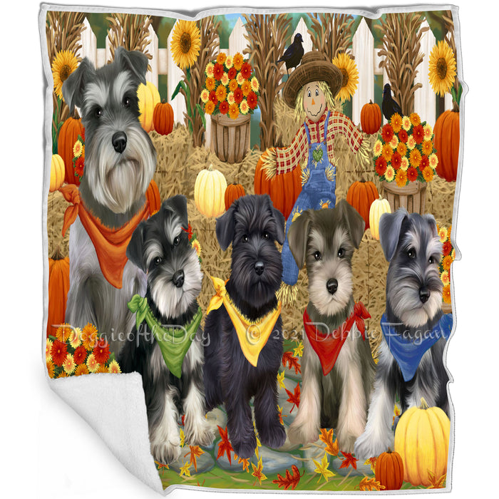 Fall Festive Gathering Schnauzers Dog with Pumpkins Blanket BLNKT73290