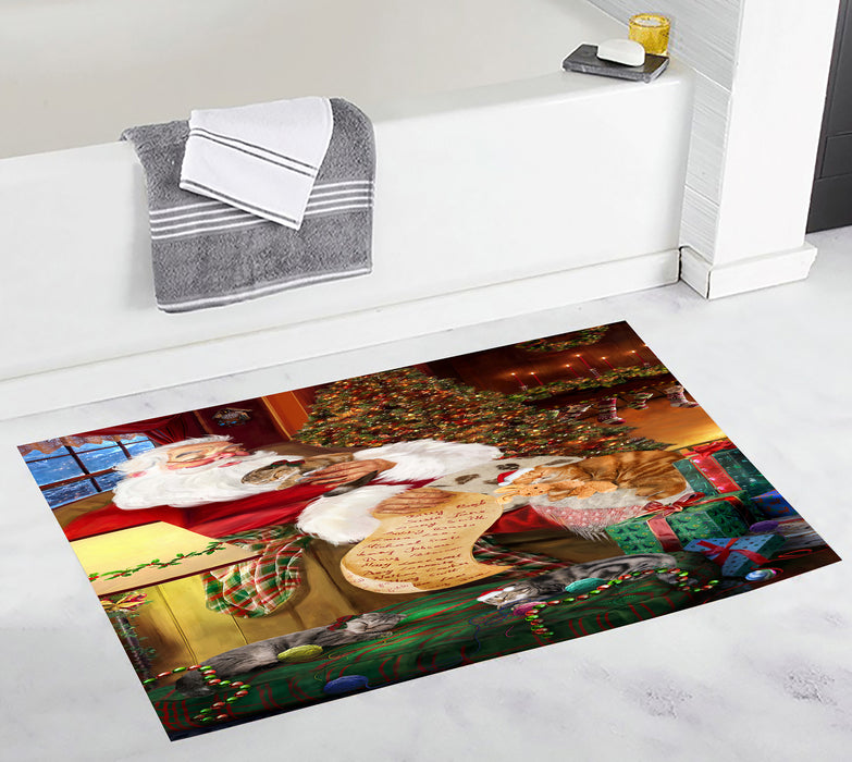 Santa Sleeping with Scottish Fold Dogs Bath Mat