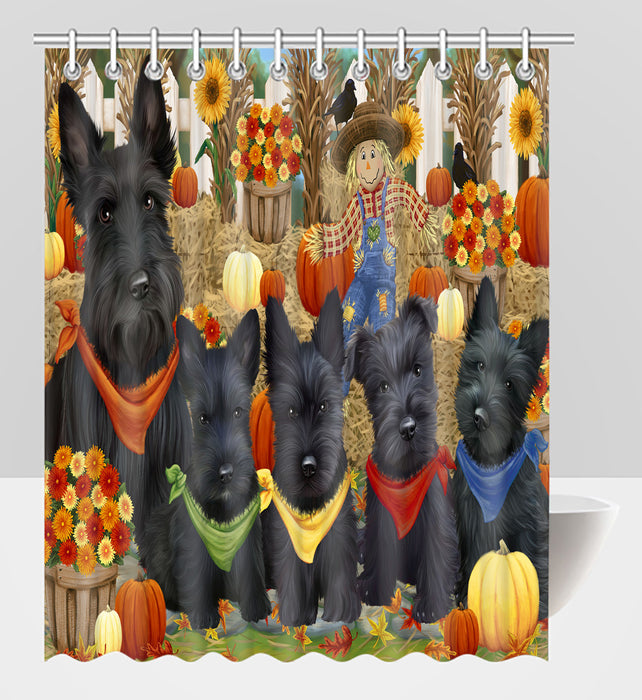 Fall Festive Harvest Time Gathering Scottish Terrier Dogs Shower Curtain
