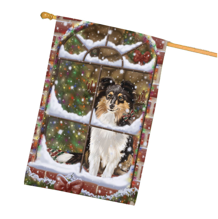 Please come Home for Christmas Shetland Sheepdog House Flag Outdoor Decorative Double Sided Pet Portrait Weather Resistant Premium Quality Animal Printed Home Decorative Flags 100% Polyester FLG68019