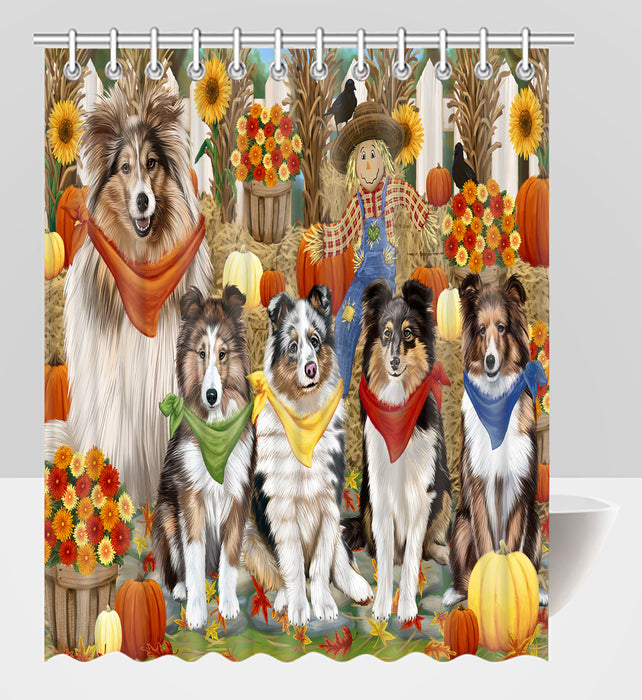 Fall Festive Harvest Time Gathering Shetland Sheepdogs Shower Curtain