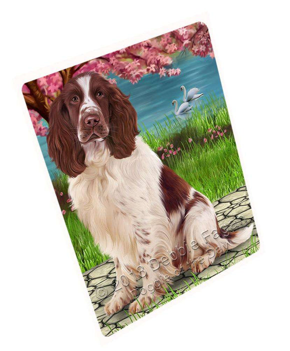 Springer Spaniel Dog Blanket BLNKT110280