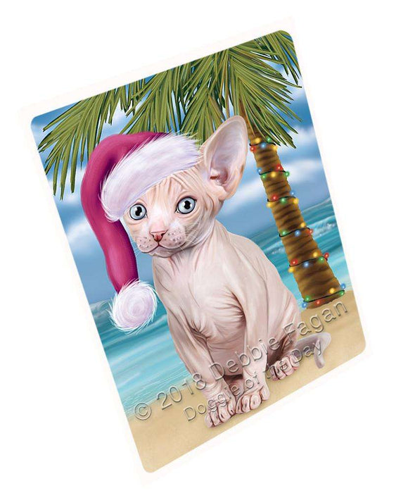 Summertime Happy Holidays Christmas Sphynx Cat on Tropical Island Beach Blanket BLNKT108588