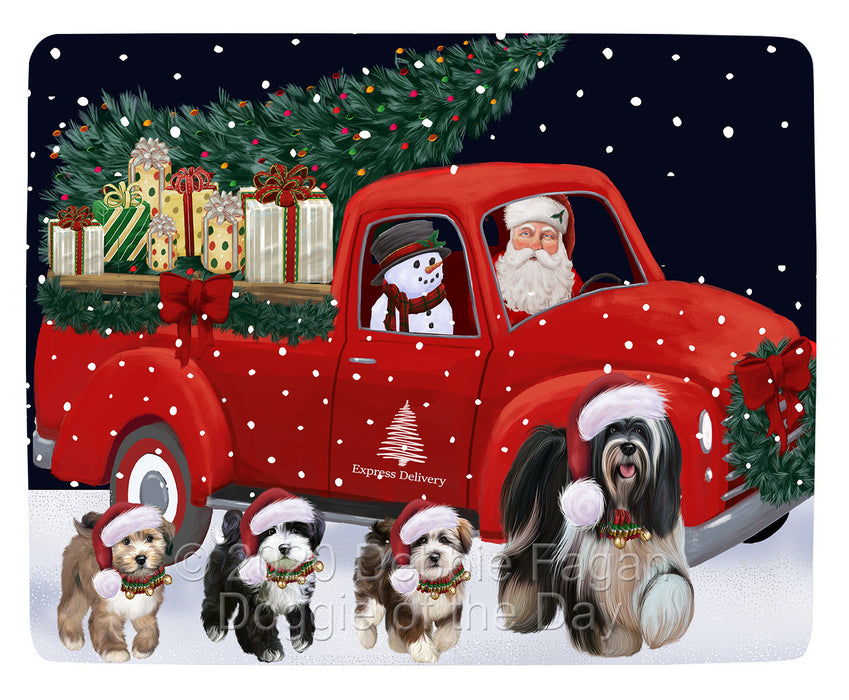 Christmas Express Delivery Red Truck Running Tibetan Terrier Dogs Blanket BLNKT141993