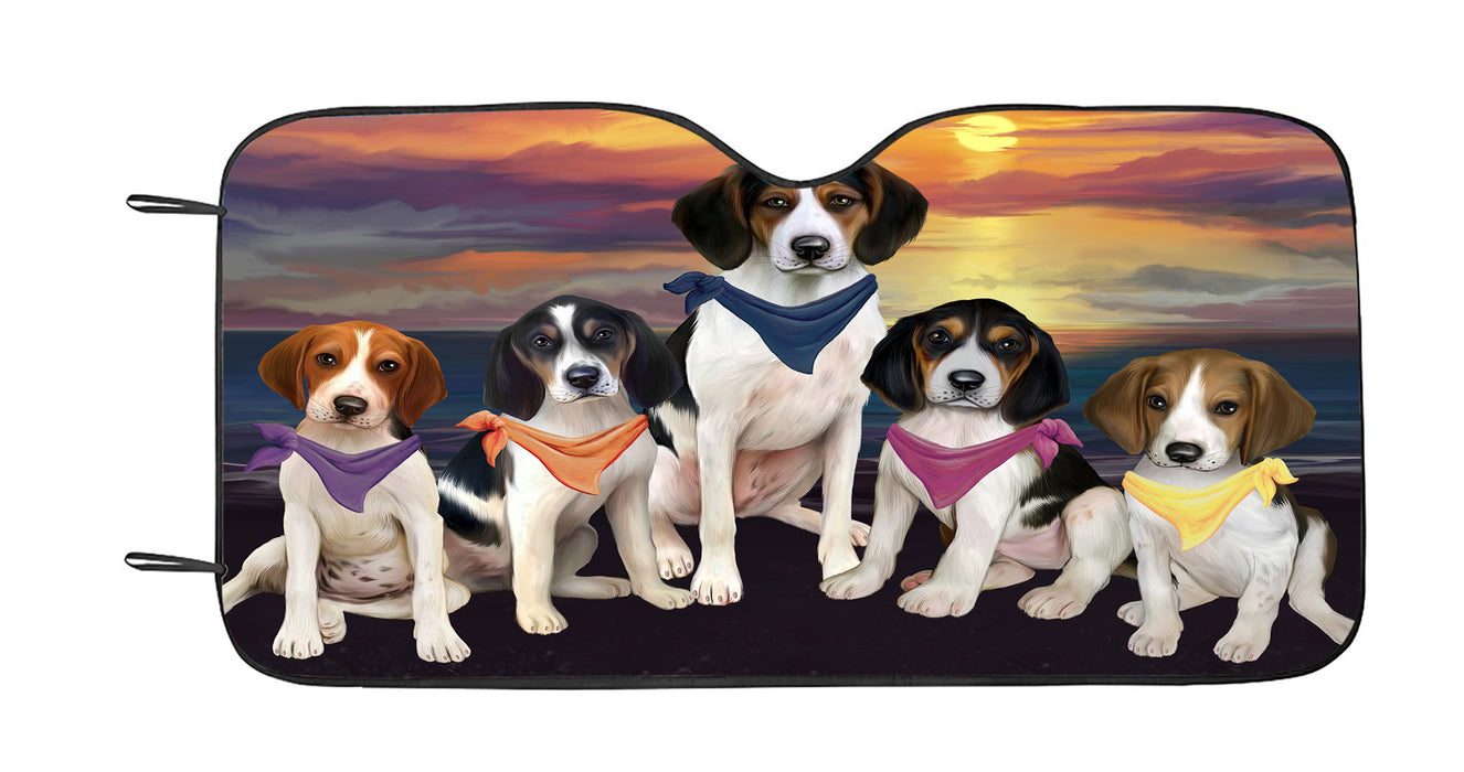 Family Sunset Portrait Treeing Walker Coonhound Dogs Car Sun Shade