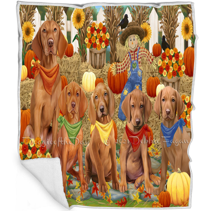 Fall Festive Gathering Vizslas Dog with Pumpkins Blanket BLNKT73371