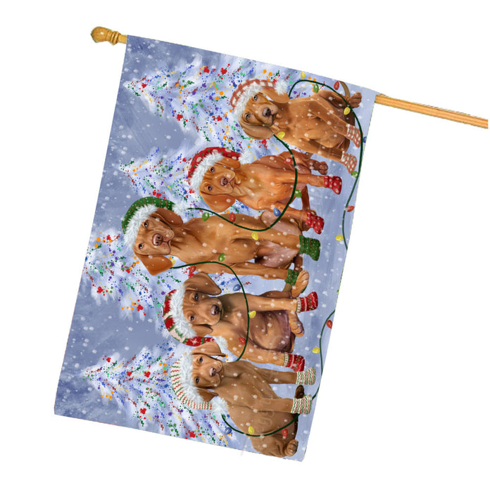 Christmas Lights and Vizsla Dogs House Flag Outdoor Decorative Double Sided Pet Portrait Weather Resistant Premium Quality Animal Printed Home Decorative Flags 100% Polyester