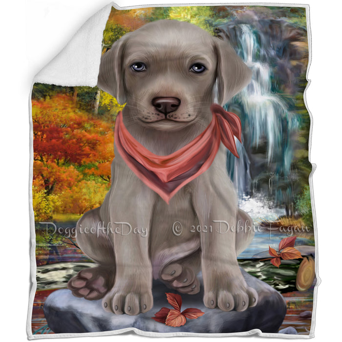 Scenic Waterfall Weimaraner Dog Blanket BLNKT84657