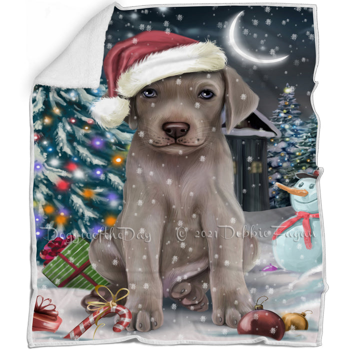Have a Holly Jolly Christmas Weimaraner Dog in Holiday Background Blanket D173